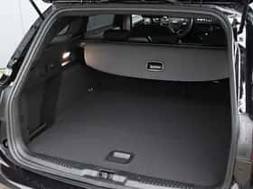 Ford Focus (2024) thumbnail 11