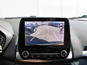 Ford EcoSport (2019) thumbnail 18