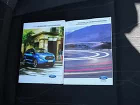 Ford EcoSport (2019) thumbnail 31
