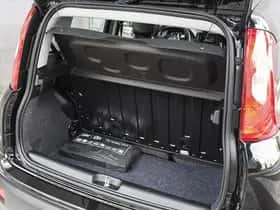 Fiat Panda (2025) thumbnail 12