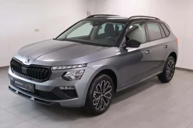 Škoda Kamiq (2020) thumbnail 1