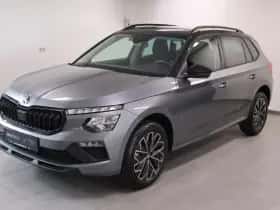 Škoda Kamiq (2020) thumbnail 1