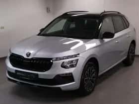 Škoda Kamiq (2020) thumbnail 1