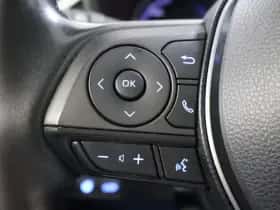 Toyota RAV4 (2019) thumbnail 17