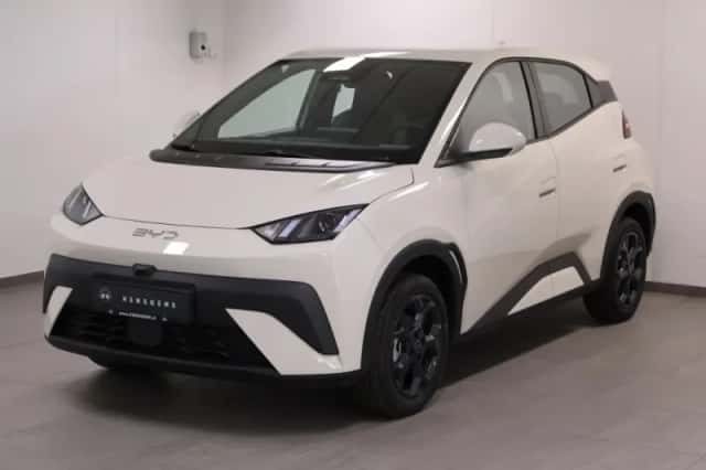 BYD Dolphin (2025) thumbnail 1