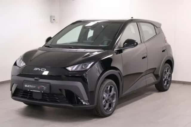 BYD Dolphin (2025) thumbnail 1
