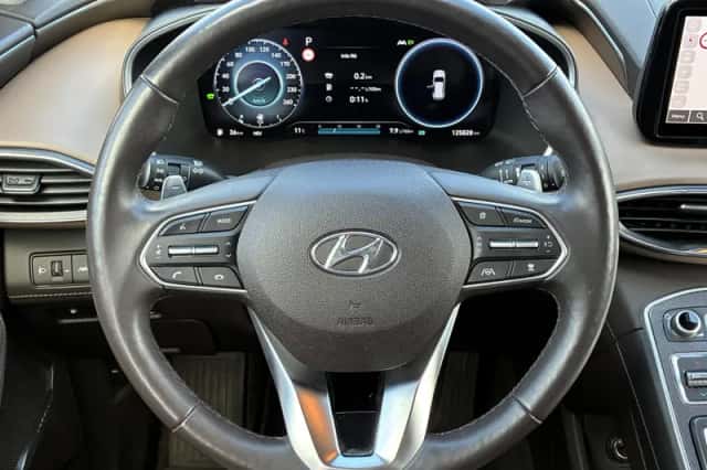 Hyundai Santa Fe (2022) thumbnail 16