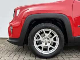 Jeep Renegade (2019) thumbnail 19