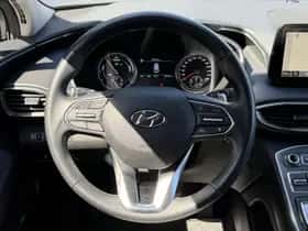 Hyundai Santa Fe (2023) thumbnail 20