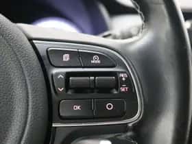 Kia Niro (2017) thumbnail 35
