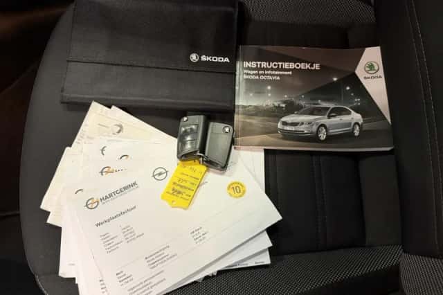 Škoda Octavia (2019) thumbnail 3