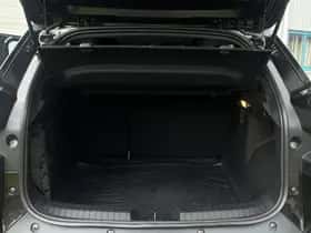 Dacia Duster (2026) thumbnail 16