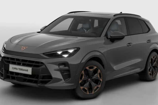 CUPRA Terramar (2025) thumbnail 2