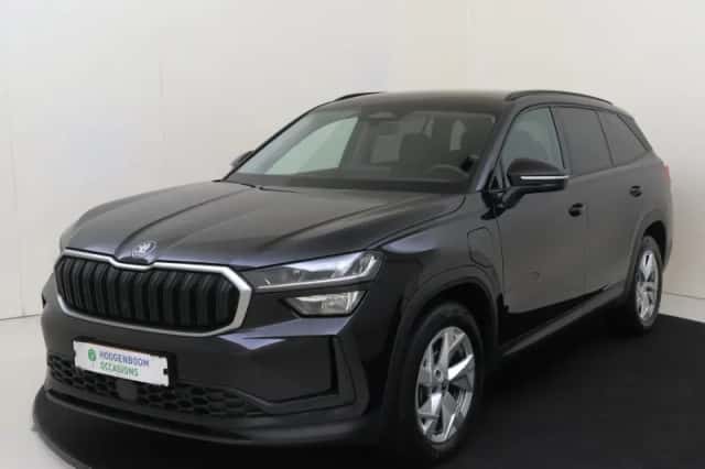 Škoda Kodiaq (2024) thumbnail 1