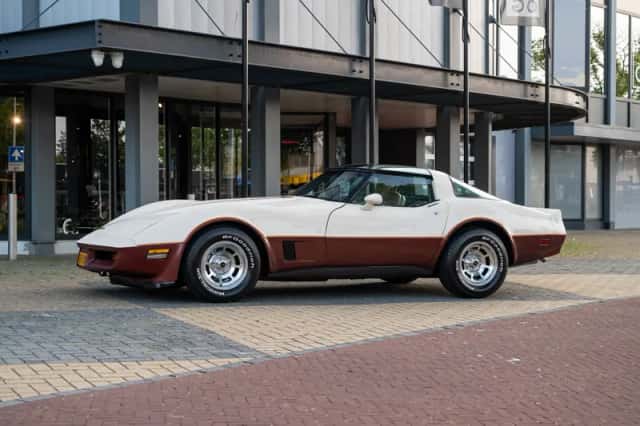 Chevrolet Corvette (1981) thumbnail 1