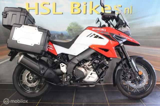 Suzuki DL (2020) thumbnail 1