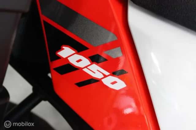 Suzuki DL (2020) thumbnail 6