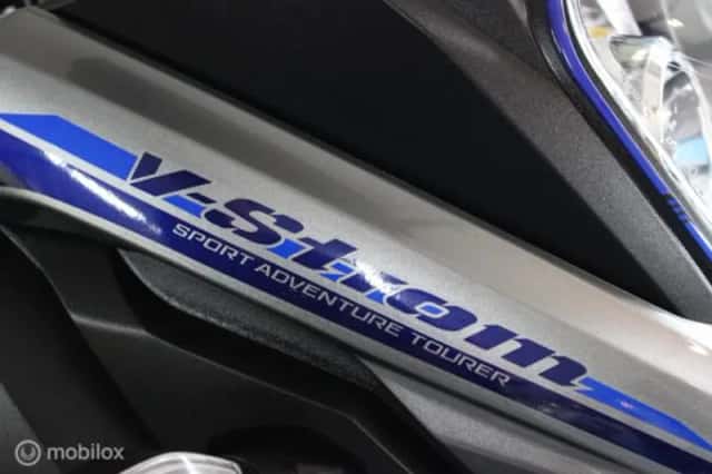 Suzuki DL (2021) thumbnail 3