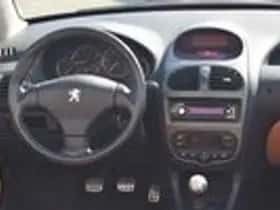 Peugeot 206 (2003) thumbnail 18