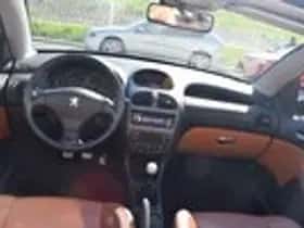 Peugeot 206 (2003) thumbnail 19