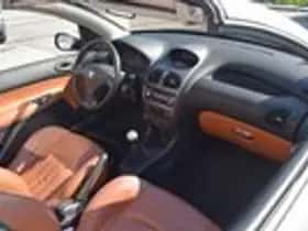 Peugeot 206 (2003) thumbnail 21