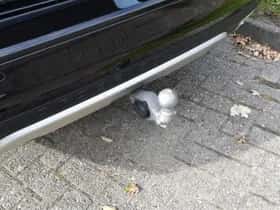 Volvo V60 thumbnail 20
