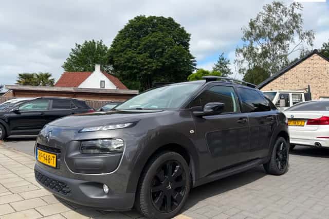 Citroën C4 Cactus (2018) thumbnail 2