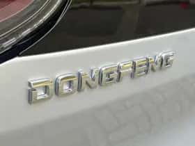Dongfeng Box (2026) thumbnail 31