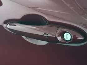 Alfa Romeo Stelvio (2021) thumbnail 19
