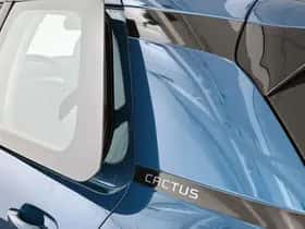 Citroën C4 Cactus (2019) thumbnail 32