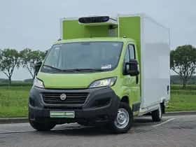 Fiat Ducato (2021)