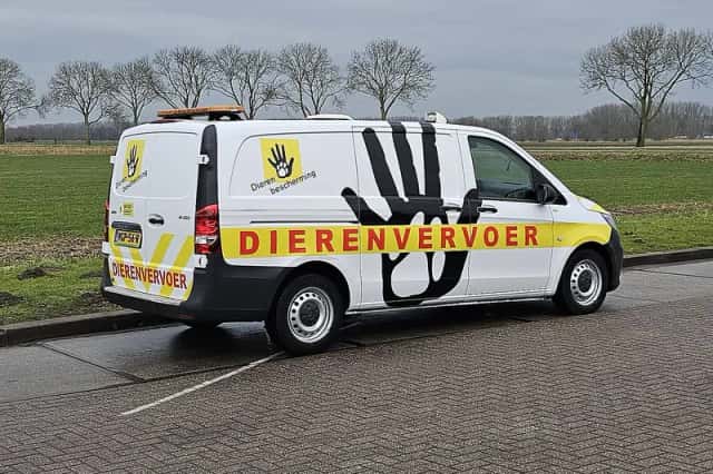 Mercedes-Benz Vito (2020) thumbnail 3