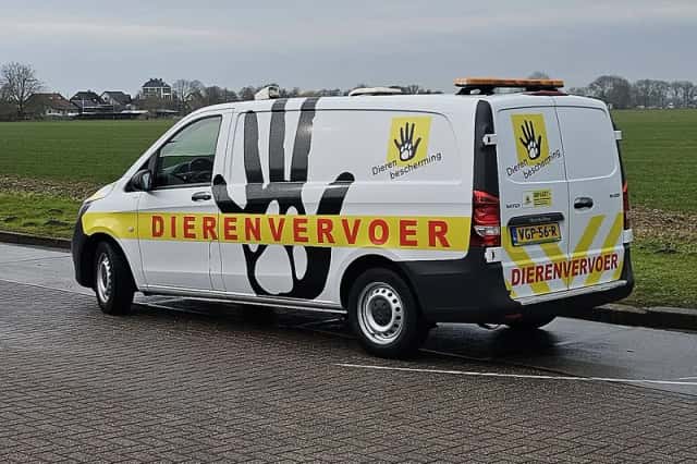 Mercedes-Benz Vito (2020) thumbnail 5