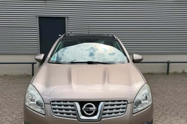Nissan Qashqai (2009) thumbnail 2