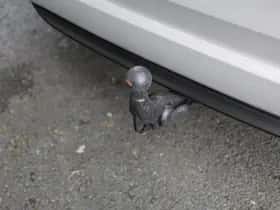 Mazda CX-80 thumbnail 10