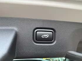 Kia Sportage (2026) thumbnail 6