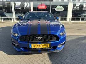 Ford Mustang thumbnail 25