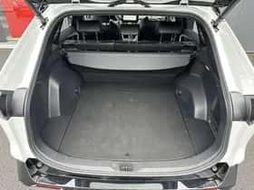 Toyota RAV4 (2024) thumbnail 59
