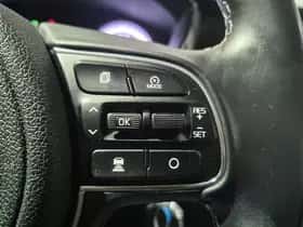 Kia Niro (2020) thumbnail 49