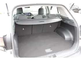 Kia Sportage (2024) thumbnail 58