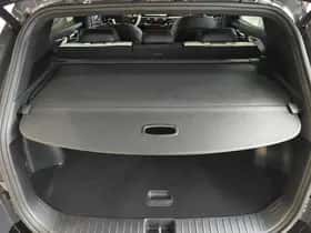 Kia Sportage (2025) thumbnail 56