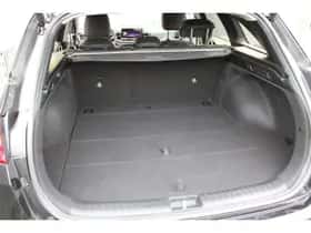Kia Ceed Sportswagon (2025) thumbnail 14