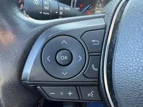 Toyota RAV4 (2020) thumbnail 100