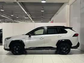 Toyota RAV4 (2019) thumbnail 13