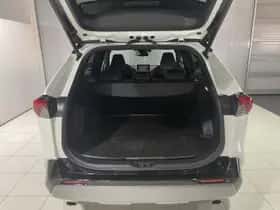 Toyota RAV4 (2019) thumbnail 21