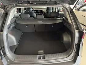 Kia Sportage (2025) thumbnail 21