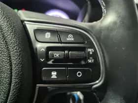Kia Niro (2020) thumbnail 13