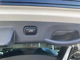 Kia Sportage (2024) thumbnail 20