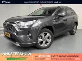 Toyota RAV4 (2020) thumbnail 1