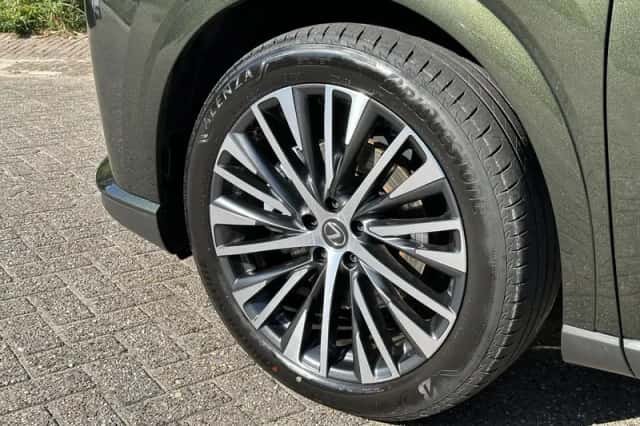 Lexus RX (2023) thumbnail 13